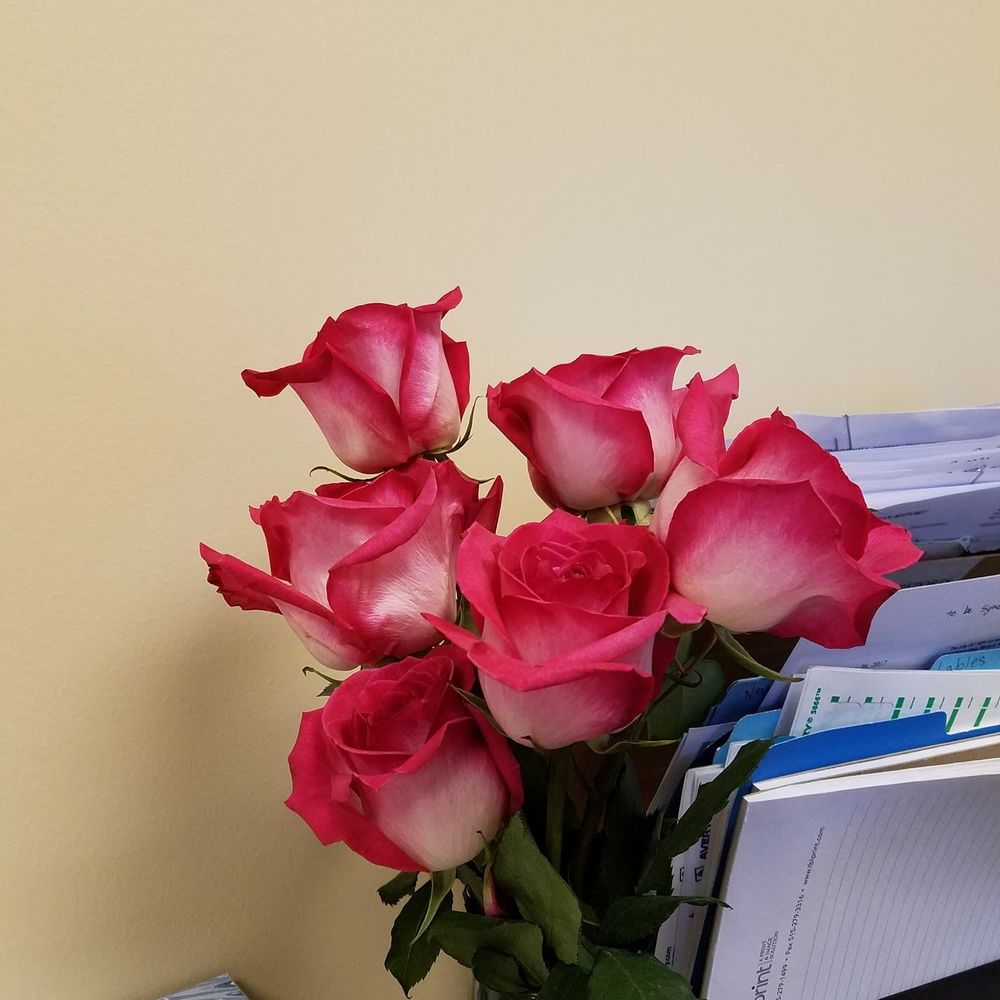 Meet your Posher, Michelle